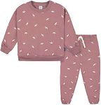 Gerber Baby Girls Toddler 2-Piece F