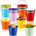 Bokon 24 Pack Colored Metal Bucket 6 x 4.3 x 5 Inch Small Galvanized Bucket with Handle Bulk Mini Metal Pail Ice Bucket for Crafts Party Favors Plant Flower Sand Candy Medium Size