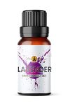 Lavender Fragrance Oil, 10ml - Use in Aromatherapy Diffuser, Home Made Making, Potpourri, Candle, Soap, Slime, Bath Bomb, Air Freshener