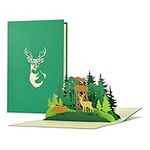 Birthday Card for Hunters, Forester with Pop Up 3D Forest, Deer, Fox | Voucher, Invitation to Hunt | Gifts for Men for Hunting Exam, Hunting Licence, H31