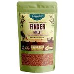 Danodia Foods Finger Millet (Ragi) 500g - Nutrient-Rich, Whole Grain, Gluten-Free Superfood for Healthy Cooking - Ideal for Growing Kids | 100% Natural, Unpolished Red Millet