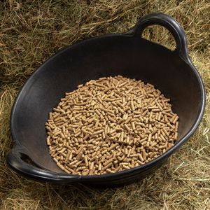 SPILLERS Digest+ Horse Feed 20kg – High Fibre Digestive Support
