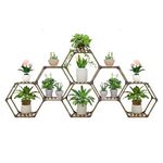 Snazzy Hexagonal Wood Outdoor Plant Stand Indoor Ladder Plant Shelf Holder Pot Stand For Corner Window Garden Balcony Living Room - 11 Tiers