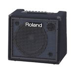 Roland KC-200 4-Ch Mixing Keyboard Amplifier- (100 W)