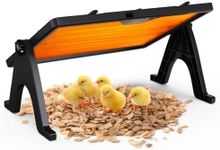 Chick Brooder Plate, 12"x16.5" Adju