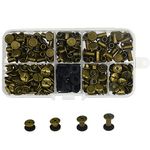 120 Set Chicago Screw Posts, Rivet Chicago Binding Screws, Metal Rivet Replacement Repair for Bags, Craft, Collar, Harness, Luggage, Purse, Dog Lead, Backpack, Belt (Bronze)