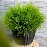 Artificial Wheat Grass Fake Outdoor