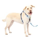 PetSafe Easy Walk Comfort No-Pull Dog Harness Full-Body Padding - Better Walks on The First Use - 5 Points of Adjustment Large, Blue