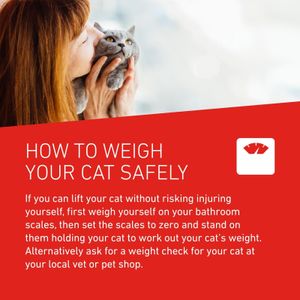 Frontline Cat Wormer Tablets – 2-Count Deworming Treatment
