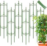 Legigo 6-Pack Tomato Cage for Garde