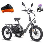 Fafrees 3-Wheel Electric Trike for Adults UK 2025 F20 MATE, 1008Wh/48V 21Ah Battery for 65-115KM | 20x3.0 Fat Tyres Cargo Ebike, Foldable Electric Tricycle Hydraulic Brakes (BLACK-STD REAR)