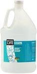 Better Life Dish Soap - Liquid Dishwashing Soap with Vitamin E and Aloe for Home & Kitchen Sink - No Gloves Required Kitchen Soap for Sensitive Skin - 1 Gal Refill Lemon Mint