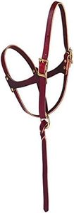 Weaver Leather Figure 8 Foal Halter, Russet, 5/8"