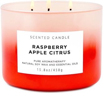 Large Citronella Candles Outdoor Indoor Candle Made with Natural Soy and Essential Oils | 3 Wick Scented Candles Long Lasting 80 Hour Burn | 15.8 oz Highly Scented Aromatherapy Candles for Home