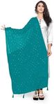 TMS Woman's Embroidered Chiffon Dup