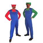 Super Plumber Brothers Adult Fancy Dress Costume