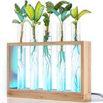 Happy Hours Gifts & Decor Indoor Plants