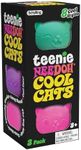 Schylling NeeDoh Teenie Cool Cat - 