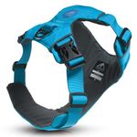 TOUGHDOG Explorer Dog Harness, No Pull Adjustable Comfortable Padded Durable Dog Harness, 2 Lead Attachment Points, Reflective, No Choke, Easy On/Off, Training & Walking, Small Dog Puppy, Glacier Blue