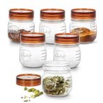 Treo By Milton Vintage Glass Jar with Airtight Lid Kitchen Storage Containers, BPA Free, Glassy Storage Organizer, Multipurpose Dabba for Food, Spice, Cereals, Cookies, Dry Food, Set of 6, 300ml each