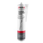 Holts LOYPRO29A Pro Cartridge Professional Exhaust Assembly Paste, 300 ml