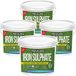 Premium Iron Sulphate Lawn Tonic/Lawn Conditioner | Easily Soluble Dry Powder | Makes up to 10000L & Covers up to 10000m2 (10 KG)