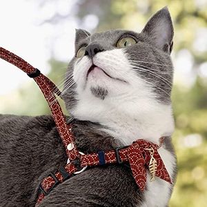 Zen Fish Charm Cat Harness & Leash Set (Red)