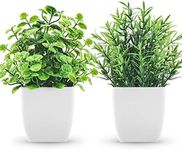 ZJIA 2 Pack Fake Plants Small Artificial Greenery Faux Plants Indoor for Home Farmhouse Bathroom Shelf Decor