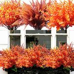 12PCS Fall Artificial Flowers Plants Orange Outdoor Indoor, UV Resistant, No Fade, Autumn Fake Plastic Flowers Grass Stems Arrangement, Faux Greenery Mums for Garden Hanging Planter Wedding Home