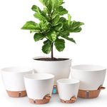 T4U Self Watering Pots 5 Pack (6/8/9/10/12 Inch), Planters with Water Level Window and Wick Rope for Busy People, Heavy Duty Floor Pot for Herbs to Large Monstera Tree, Indoor Outdoor Decor(White)