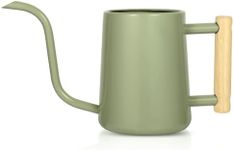 Watering Can Indoor Plants, 35 oz/1000 ml Metal Stainless Steel Watering Can Pot with Long Spout for Indoor House Plants Bonsai Outdoor Garden Flower Decorative (Sage Green)