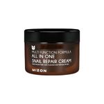 MIZON All In One Snail Repair Cream (120Ml)