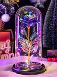 Gifts for Women, Galaxy Glass Rose Flowers Birthday Gifts Forever Eternal Crystal Light Up Rose in Glass Dome with Butterfly Presents for Her Mom Sister Wife Girlfriend Purple