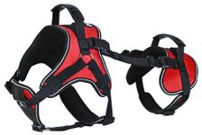 Doggie Stylz Multi-Functional Full-Body Lifting Dog Harness Vest, Designed for Front-Only, Rear-Only or Full-Body Dog Lifting. Please Measure Your Dog Before Ordering.