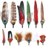 iHUFeather 12Pcs Hat Feathers, Assorted Natural Feathers for Hats Colorful Real Feathers Pin for DIY Craft, Men Women Cowboy Hats, Fedora, Party Hats,Oktoberfest (12 Style)