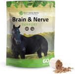 Silver Lining Herbs Brain & Nerve S