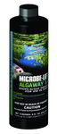 Microbe Lift 8-Ounce Pond Algaway 5.4 ALGA08