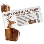 Antlers for Dogs LARGE, Sustainable, Naturally Shed, Dog Treats, Dog Toys for Large Dogs, Dog Chews Long Lasting Natural, Dog Antler, Deer Antlers for Dogs