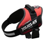 Julius-K9 IDC Powerharness 15 Colors and 9 Adjustable Sizes - Renowned for The Comfort and fit - with Removable Logo Labels - Wide Assortment of Stock Labels are Available (Red, Size 1)