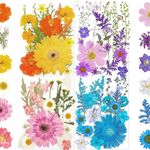 100Pcs Dried Pressed Flowers for Resin Molds- Beautiful Pressed Flowers Daisies for Resin Jewellery, Pressed Flowers Nail Pendant Crafts Making Craft DIY Accessories with 1pcs Tweezers