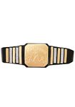 FunPop Pro Wrestling Championship Belt Standard