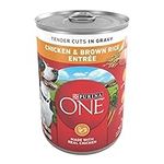 Purina ONE Tender Cuts in Wet Dog F
