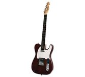 NEWEN Telecaster Style Electric Guitar Made in Argentina, Dark Wood