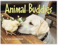 2025 Animal Buddies Wall Calendar, 