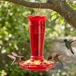 Gbekery Glass Hummingbird Feeders for Outdoors Hanging Ant and Bee Proof Red 10 OZ Bird Feeders for Outside Hanging 6 Feeding Stations Bird Nectar Feeder for Garden Yard Décor Gifts for Mom