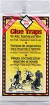 4 Packs Glue Traps for Ants, Roaches and Mice