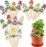 Huray Rayho Gnome Wooden Plant Markers for Vegetable Flowers Garden Potted Plants Tags 15-Pack Funny Wood Plant Labels Garden Stakes Patio Decorations Funny Gifts for Plant Lady Woman Novelty Gift