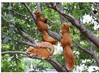 Wonderland (Set of 3 Tree Climbing Little Squirrel Decoration Garden Outdoor