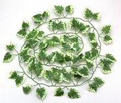 RayLineDo® Pack of 12PCS WHITE AND GREEN Color 2.0m/6.56feet Artificial White Edges Grape Leaf Garland Plants Fake Foliage Flowers Decoration Home Wall Party Decor Wedding Decal