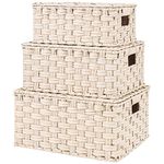 GRANNY SAYS Wicker Storage Baskets with Lids, Set of 3 Decorative Wicker Basket with Lid, Woven Baskets for Storage, Panier Rangement Osier, White Baskets Storage Organization with Lid for Shelves